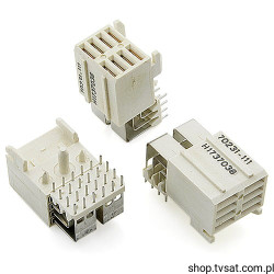 70231-111 Socket 2 x 4 Pin Angle THT FCIELECTR