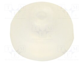 ZP2-B02EUS