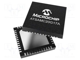 ATSAMC20G17A-MUTS2