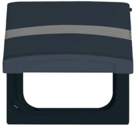 Busch-Jaeger Zaślepka Tabliczka opisowa, Osłona Odporny na warunki atmosferyczne 44 (IP44) czarno-szary, antracytowy 2CK