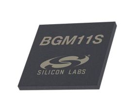 RF BGM11S12f256ga-v2 RF BGM11S12f256ga-v2