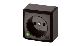 Berg Gniazdo Pojedyncze N/T 2P 16A Brązowy 3740-05