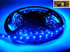 TAŚMA LED 12V WODOODPORNA ZALEWANA NIEBIESKI ROLKA 5m / 300 dio