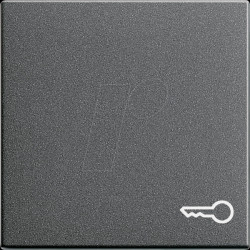 028728 Rocker, key symbol, anthracite