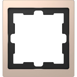 Cadre de finition champagne 1