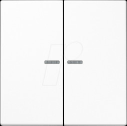 BTLS17102WW Bluetooth pushbutton, dual, alpine white