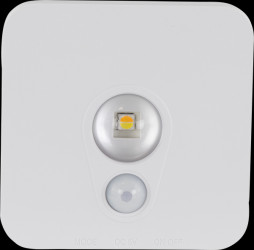 2013100800 Mobile LED fitting, rechargeable battery, motion detector, 50 lm