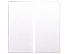 Klawisz 2-biegunowy przycisk srebro tworzywo CWIZ-02/03 126048