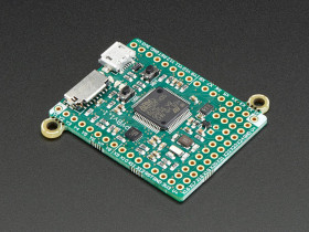 MicroPython pyboard (v1.1)