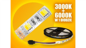 Taśma Led Basic 5050 Ww+Cw 5M/300Diod