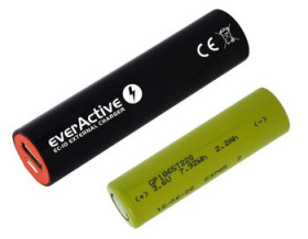 Power Bank: GP li-ion 18650 2200 mAh + ładowarka everActive EC-10