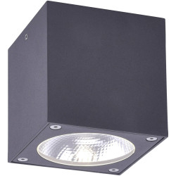 Paul Neuhaus 9674-13 Georg LED Outdoor Ceiling Light 7W IP44 Anthracite