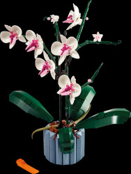 10311 LEGO® Icons - Orchid