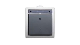 Aquant Łącznik Dwubiegunowy Natynkowy Łnt-2 10A Ip55 Szary 1203-10