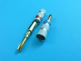 WT.BANAN.VITALCO DIGITAL LAW-42