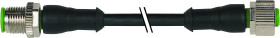 Murrelektronik 7000-40041-6350060 Złącze konfekcjonowane czujnika/aktuatora M12 x 1 złącze męskie proste, złącze żeńskie
