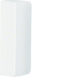 tehalit.ateha Końcówka do kanału 20x75, biały ATA207569016