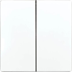 DW-F4T55E/10-wg