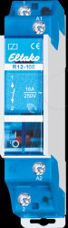 R12-100-12V Switching relay - 1 NO contact, 12 V