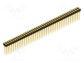 MK.213.X.1.82.G
