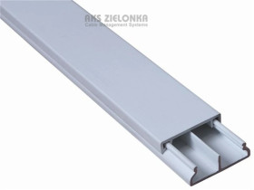 Kanał elektroinstalacyjny KE 40/60 z 1 przegrodą - /2m/ 111324T /12szt/