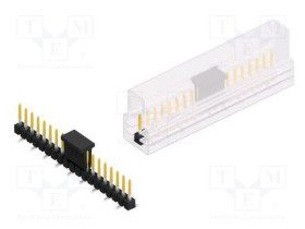 SL10SMD06219SBSM