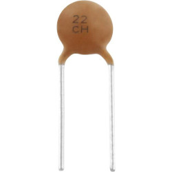 TRU COMPONENTS TC-K22PF500V Ceramic capacitor THT 22 pF 500 V 5 percent