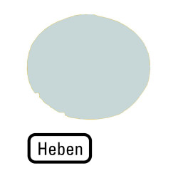 Lens,flat,with inscription