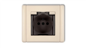 Flexi Gniazdo Bryzgoszczelne Z/U (Klapka Dymna) Beżowy 1Fgpb-1Zdp