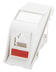 Złącze RJ45 Żeński Złącze RJ45 Cat6a Molex Premise Networks, kątowe
