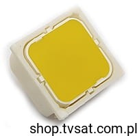 3.14.002.013 Switch N.O. 35V 0.1A 2xLED Yellow Au THT RAFI