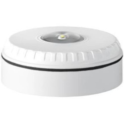 SOL-LX-C-WW Sygnalizator optyczny w białej obudowie i białym światłem