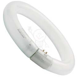 G10q 22W/840 T9C Fi. 208 Sylvania 9611