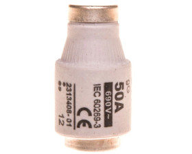 Wkładka bezpiecznikowa 50A DIII gG / BiWtz 690V E33 002313408