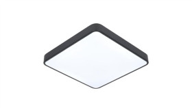 Plafon Led Wilton 2*E27 Czarny