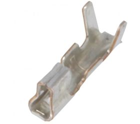 NXG-T TERMINAL ZENSKI DO WT.NX