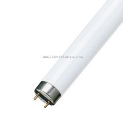 15W/865 L» 436 G13 T8 NBB