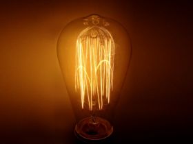 ZAROWKA SELBY G64 40W E27 LANTERN