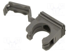 LP-65500634