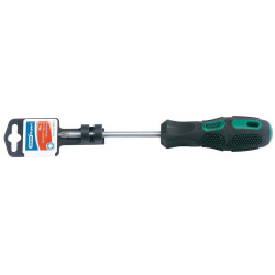 Draper Expert 40038 No.2 x 100mm Pz Type Screwdriver (display Packed)