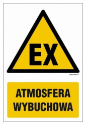 ZNAK - AE001 Wyjście ewakuacyjne lewostronne 10 x 10 cm FS - Folia samoprzylepna foto.