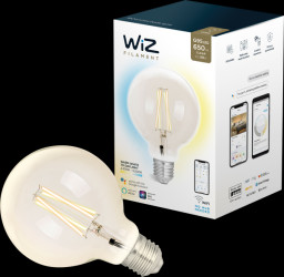 1410189971 WiZ Whites Filament G95 E27 Clear