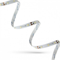 Taśma LED IP20 300SMD3528 2Y zimna 30m SPEC 107167