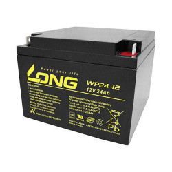 Long WP24-12 AGM Battery 12V 24Ah M5 VDS-Certified Maintenance-Free