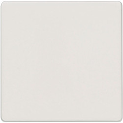 Siemens 5TG6201 I-System Titanium White Rocker for Universal Switch CO/Off