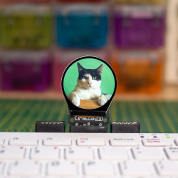 Pimoroni 1.3" SPI Colour Round LCD (240x240) Breakout - PIM570