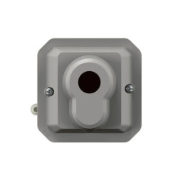 NOWE PLEXO 55 Łącznik na klucz 3 pozycje wkładka typ euro mechanizm 10 AX - 250V AC szary 069705L