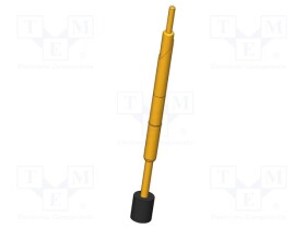 IGN-13011