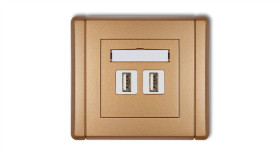 Flexi Gniazdo Podwójne 2Xusb-Aa Złoty Metalik 8Fgusb-2