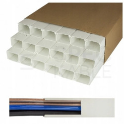 Listwa elektroinstalacyjna kanał kablowy BKK 60x40mm korytko z pokrywą KARTON=40m (20szt)